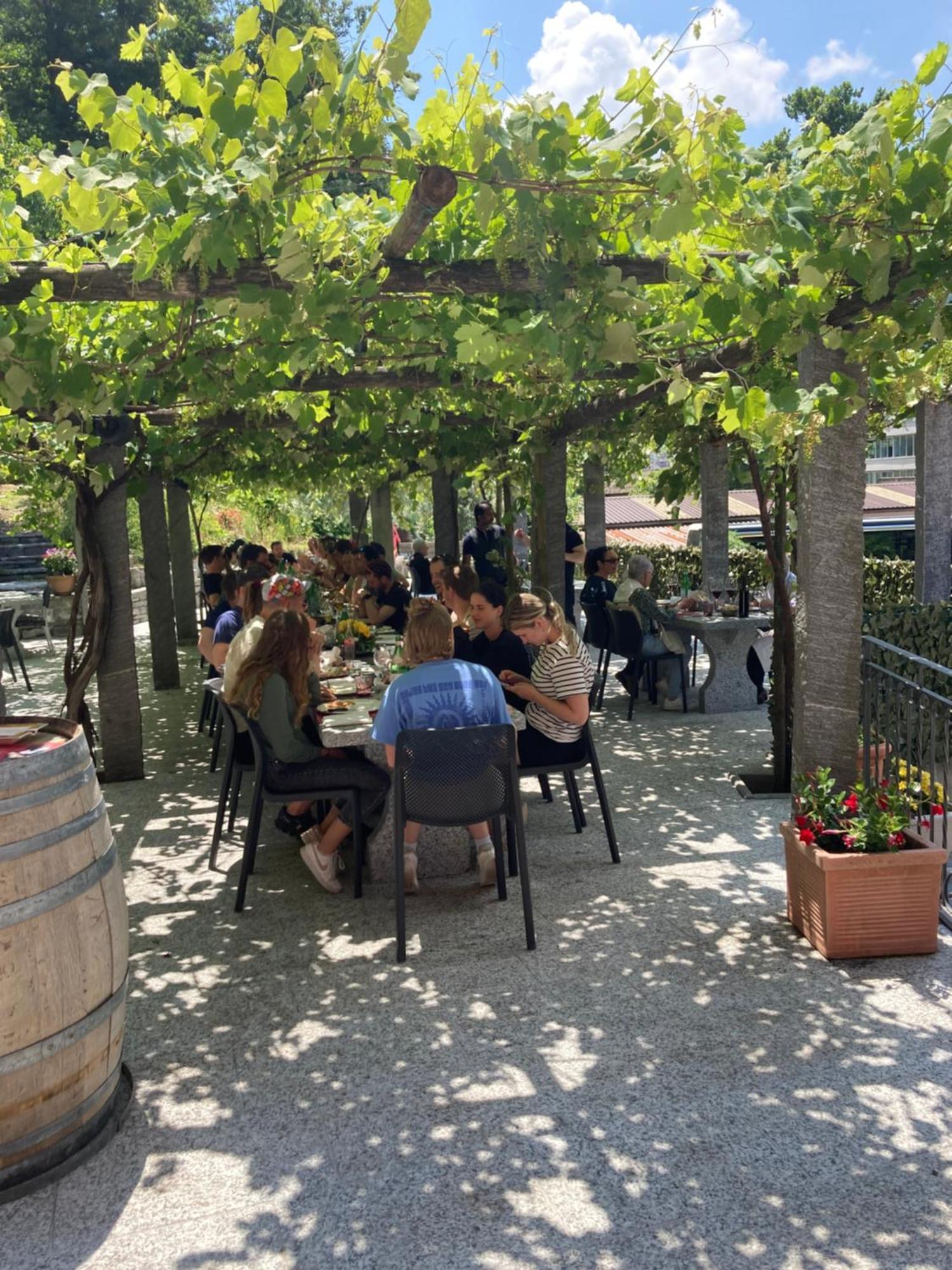 Hotel Ristorante Grotto Serta Lamone Eksteriør bilde